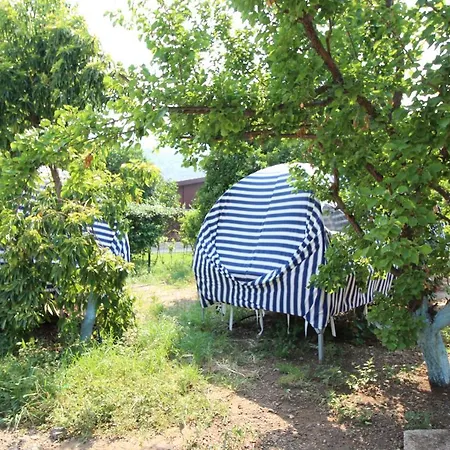 Camping Golden Altinkaya Camping Apart Pansiyon *